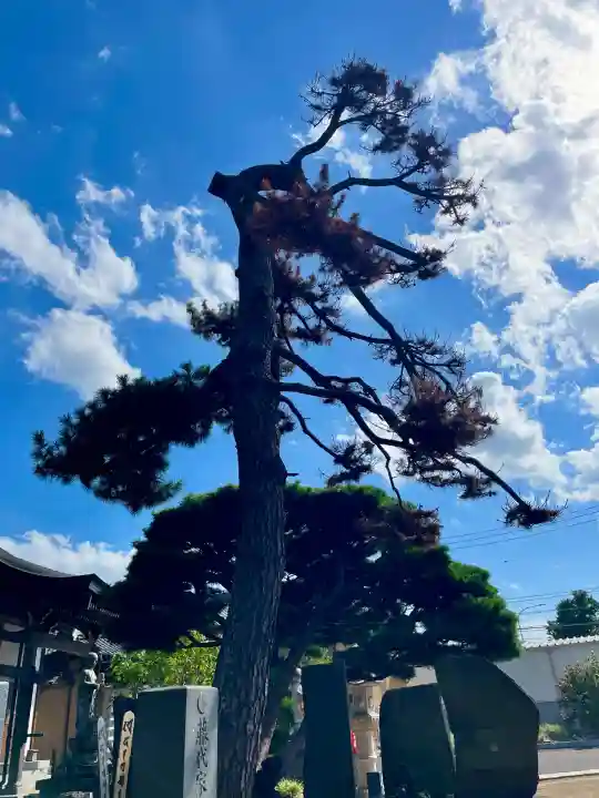 宝蔵院(千葉県)