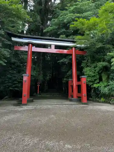 霧島東神社(宮崎県)