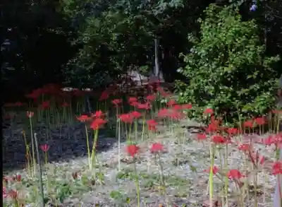福蔵院(東京都)