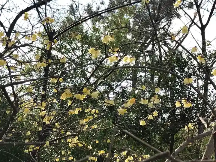 検見川神社の自然