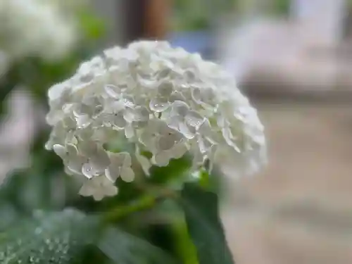 伊勢の国 四天王寺の自然