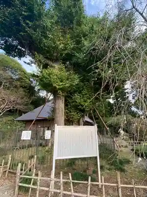 村山浅間神社(静岡県)