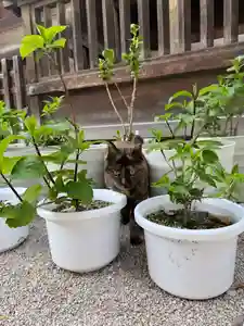 十日恵比須神社(福岡県)(2026年04月08日(水) 18時11分51秒投稿)