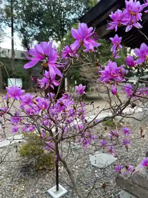 柴崎神社(千葉県)
