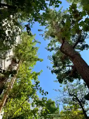 銀杏岡八幡神社(東京都)