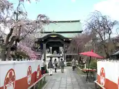 宝勝山　南藏院   蓮光寺(東京都)