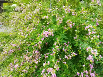 寺岡山元三大師の自然
