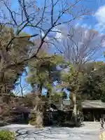 阿佐ヶ谷神明宮のその他建物