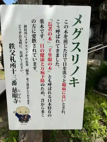 秩父札所十三番 慈眼寺の自然