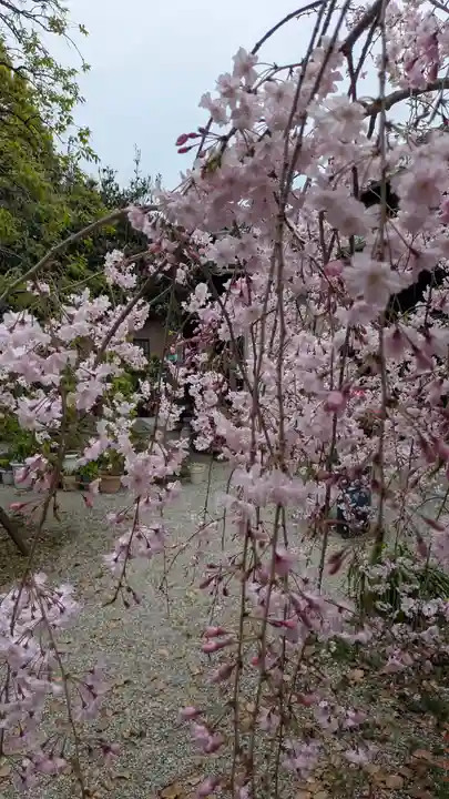 源九郎稲荷神社(奈良県)