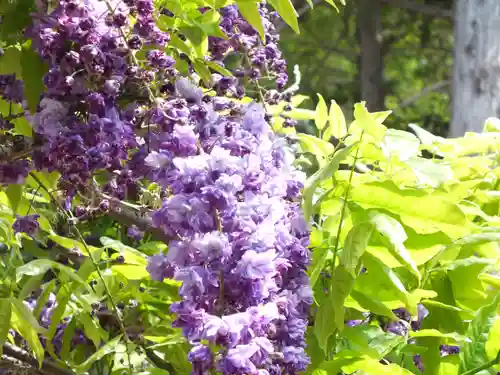 志那神社の自然