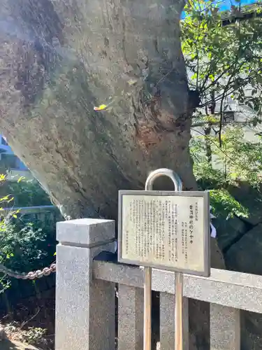 青渭神社(東京都)