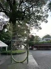 立田阿蘇三宮神社(熊本県)