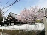 観音寺の自然