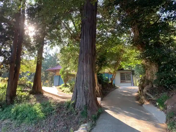 吉祥寺のその他建物