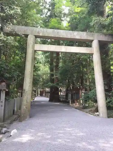 椿大神社の鳥居