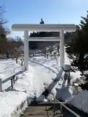 土津神社｜こどもと出世の神さまの鳥居