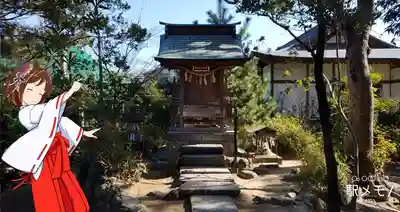 葛飾八幡宮の本殿・本堂