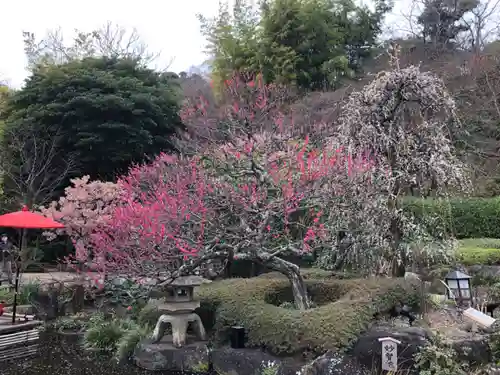 長谷寺の庭園