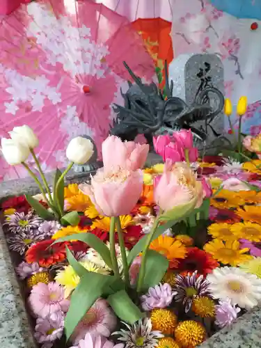 札幌諏訪神社の手水舎