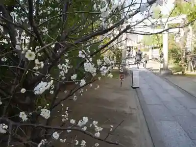 溝口神社のその他建物