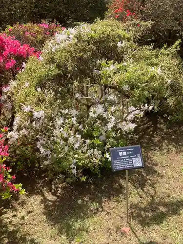 箱根神社(神奈川県)