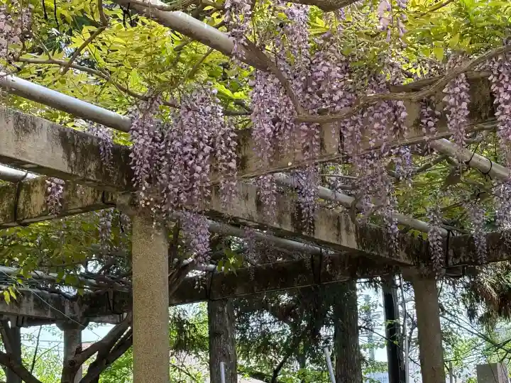立木神社の{uncategorized: "未分類", other: "その他", undefined: "問題あり", building: "その他建物", grave: "お墓", sacred_gate: "鳥居", guardian: "狛犬", statue: "像", buddha: "仏像", history: "歴史", nature: "自然", garden: "庭園", animal: "動物", pagoda: "塔", temizu: "手水舎", mountain_gate: "山門・神門", sanctuary: "本殿・本堂", subordinate: "末社・摂社", art: "芸術", scenery: "景色", jizo: "地蔵", ema: "絵馬", goshuin: "御朱印", omikuji: "おみくじ", items: "授与品その他", amulet: "お守り", goshuincho: "御朱印帳", eats: "食事", festival: "お祭り", votive_dance: "神楽", shichigosan: "七五三参", wedding: "結婚式", experience: "体験その他", initially: "初詣", around: "周辺", anti_infection: "感染症対策"}