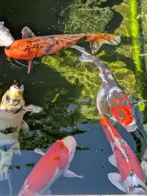 禅定院(東京都)