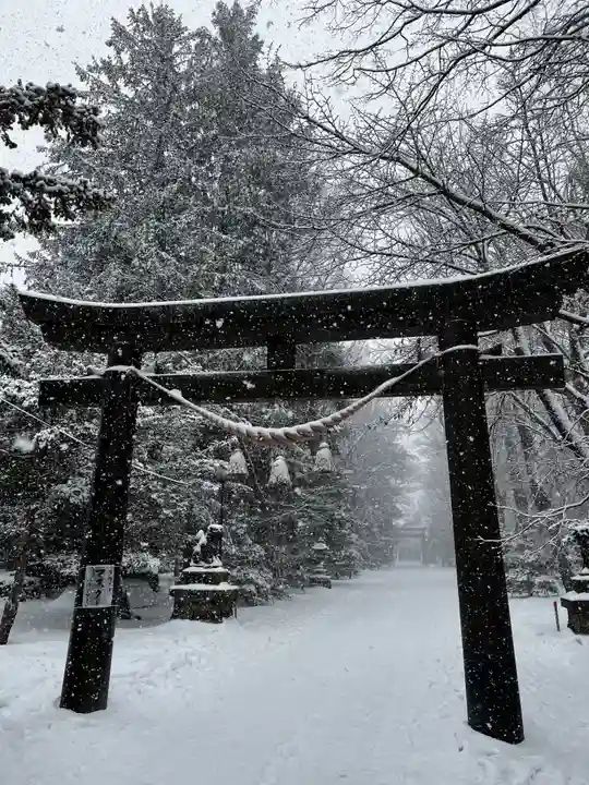 信濃神社の鳥居