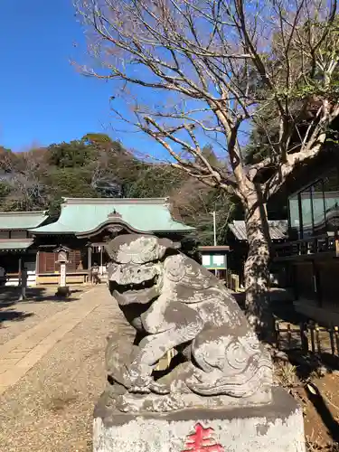 畑子安神社の狛犬