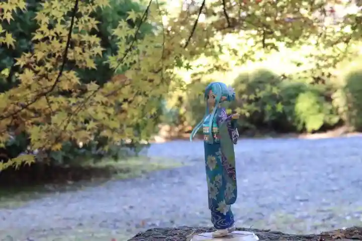 隨心院(随心院)(京都府)