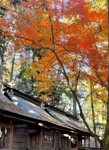 蚊里田八幡宮(長野県)