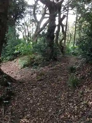 大宮神社の周辺