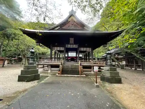 金崎宮の本殿・本堂