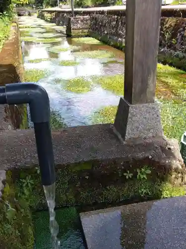 小烏神社(福井県)