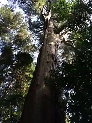 高千穂神社(宮崎県)