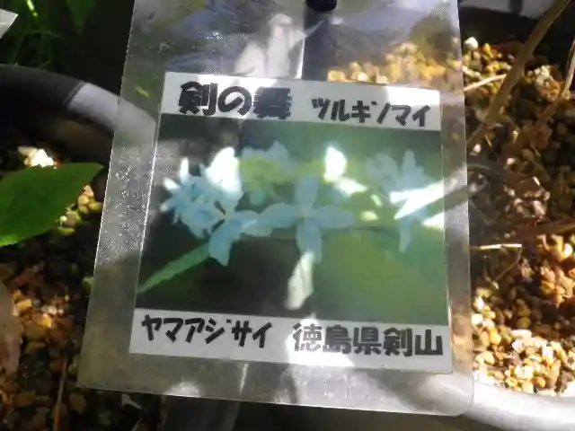 光則寺のその他建物