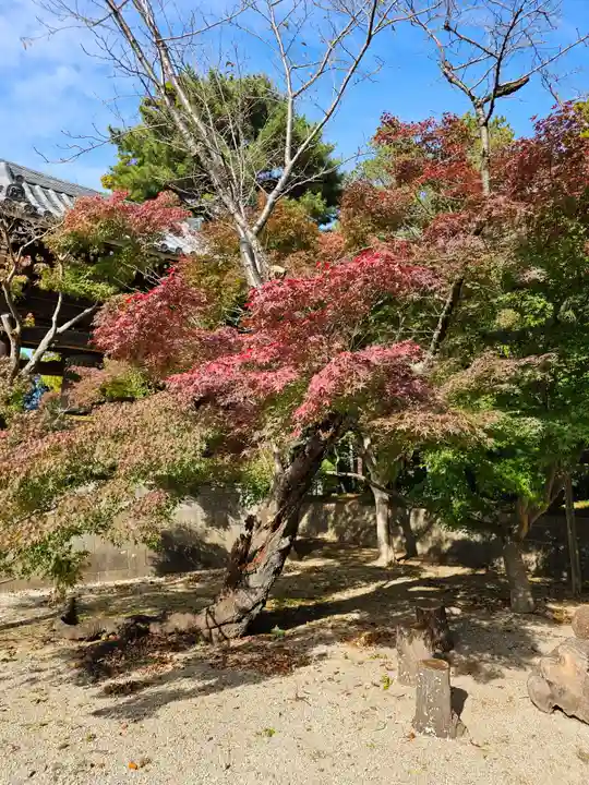 東漸寺(千葉県)