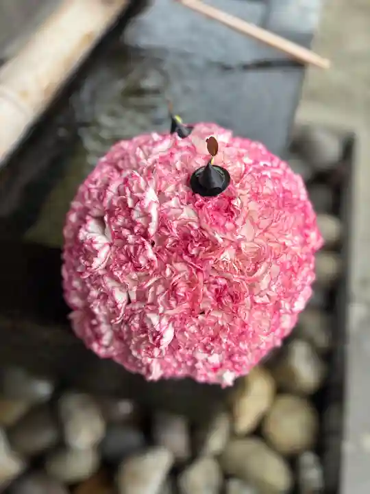 上尾御嶽神社の手水舎