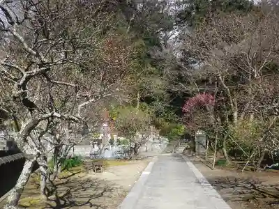 妙本寺(神奈川県)