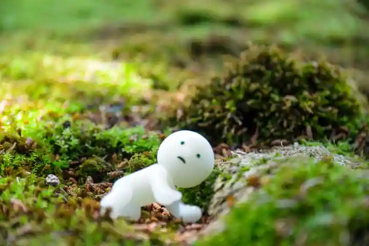 尻岸内八幡神社の自然