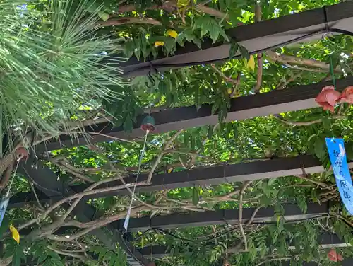 戒光寺（戒光律寺）(京都府)