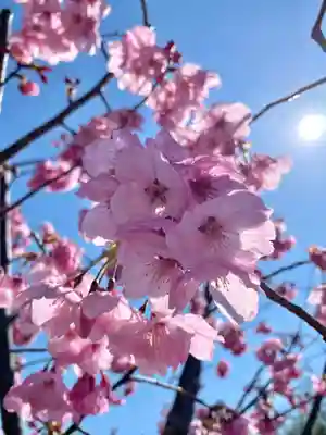 鹿嶋三嶋神社(茨城県)