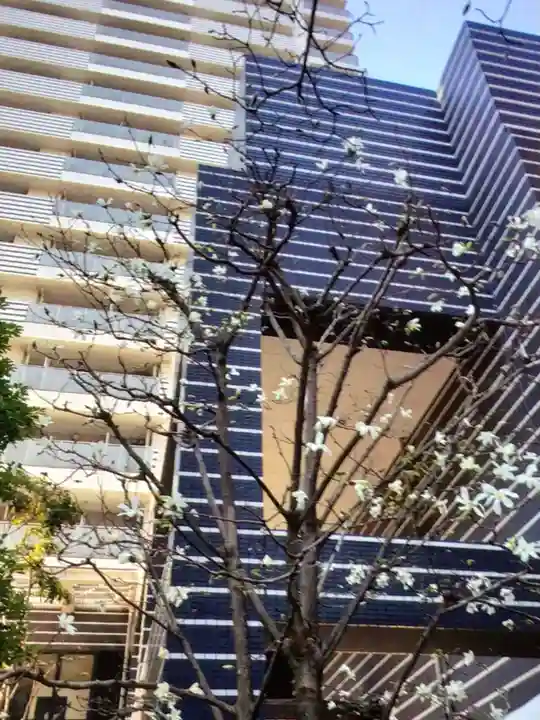 茶ノ木神社(東京都)