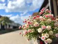 白鳥神社の自然