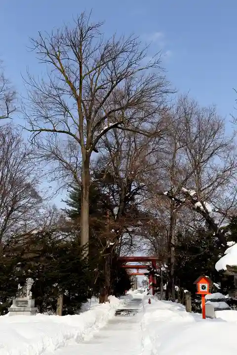 永山神社の自然