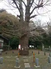 永明寺(埼玉県)