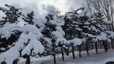 神居神社の自然