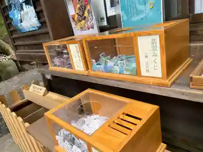 諏訪大社下社春宮のおみくじ