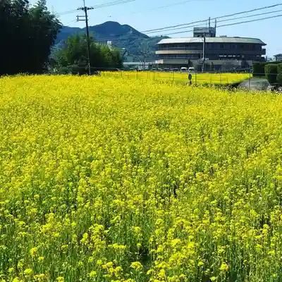 光三寶荒神社の自然